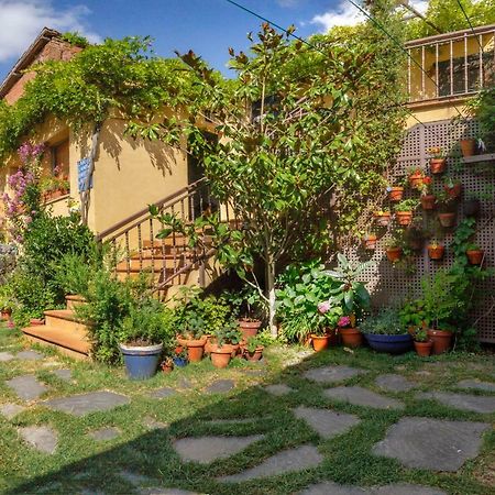 Albergue San Saturnino Ventosa  Esterno foto